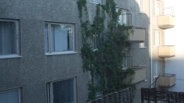 GH1-sRGB.jpg