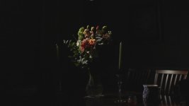 flowersHardWideSm.jpg