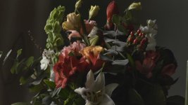 softFlowers.jpg