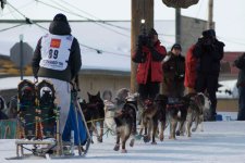PG_Iditarod_Discovery.jpg
