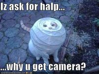 Iaskforhalp.jpg