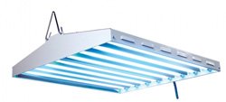 2ft8tubeFluorTube.jpg
