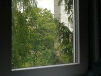 on_focal_reducer_50mm.JPG