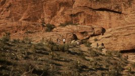 redrock_alb20386_01.jpg