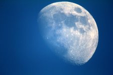 luna 1600 dvx.jpg