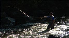 Picture 1.jpg
