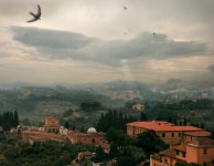 Siena_1.jpg