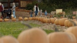 F3 - Thnksgiving 2.jpg