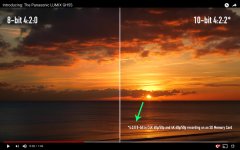 gh5s.jpg