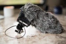 VideoMic.jpg