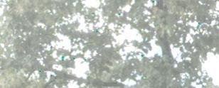 Screen Shot 2016-08-17 at 15.33.18.jpg