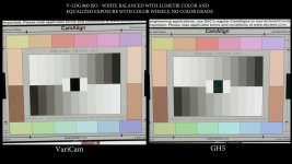 GH5 VariCam Chart Vlog.00_00_19_21.Still002.jpg GH5 VariCam Chart Vlog.00_00_19_21.Still002.jpg