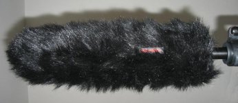 WT MM-302.jpg