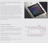 Sony Venice Sensor.jpg