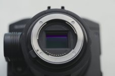 L1005956.jpg