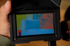 160822_whergt__DSF3031.jpg