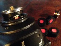 IMG_5295.jpg IMG_5295.jpg