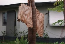 Hurricane Andrew.jpg Hurricane Andrew.jpg