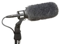 Boom Operator.jpg
