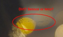 Image6 artifact crop.jpg Image6 artifact crop.jpg