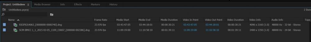 cDNGs_PremierePro.jpg cDNGs_PremierePro.jpg
