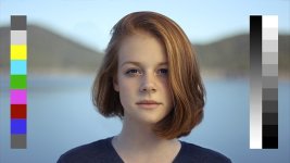 LUT Folder + txt.jpg
