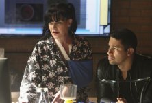 ncis-abby-leaves-for-charity.jpg