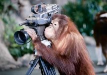 monkey_camera.jpg