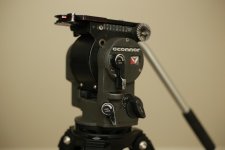 IMG_2300.jpg