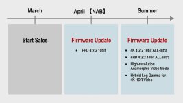 GH5 Firmware Upgrades.jpg