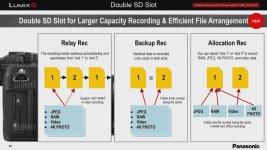GH5 Dual SD Slots.jpg