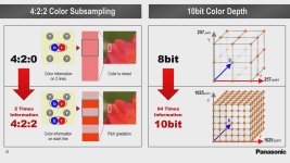 GH5 10 Bit Color.jpg