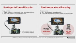 GH5 Simultaneous Recording.jpg