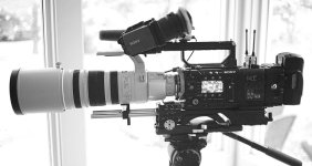 F55-Canon200-400_Jensen.jpg F55-Canon200-400_Jensen.jpg