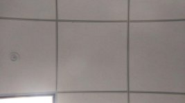 0911171135b (Medium).jpg