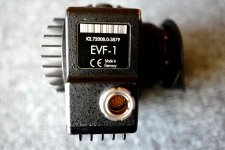 EVF_2.jpg