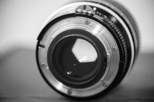 Nikon 85mm 4-7792.jpg