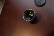 IMG_5554 (Large).jpg