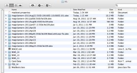folder view.jpg
