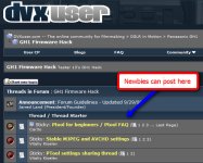 Newbies.jpg