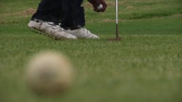 golf 720 50p.jpg