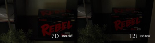 iso800vimeo.jpg