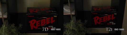 iso1600vimeo.jpg