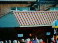 With zebra pattern.JPG
