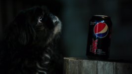 Pepsi-Dog-1.jpg Pepsi-Dog-1.jpg