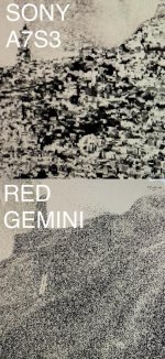 E101184A-1B43-4DB3-A723-F74C625460B8.jpeg