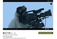 Screen Shot 2017-01-17 at 7.41.42 PM.jpg