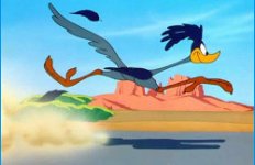roadrunner.jpg roadrunner.jpg
