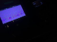 IMG_2682.jpg