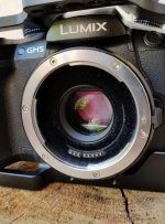 gh5.jpg